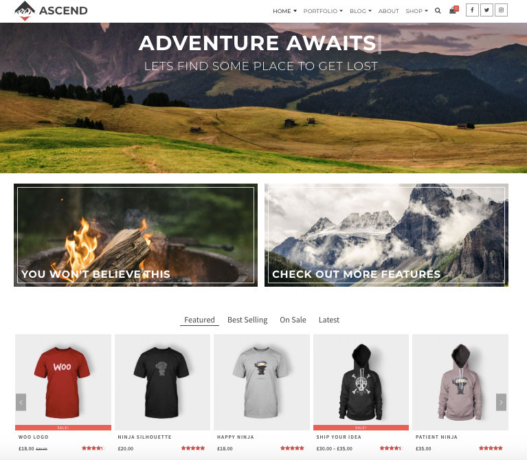 an example of  the ascend wordpress theme