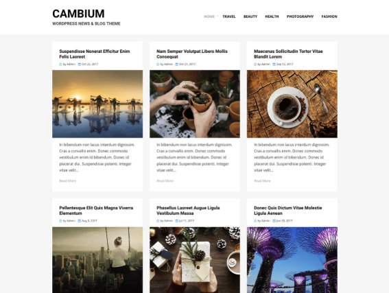 An example of the cambium wordpress theme